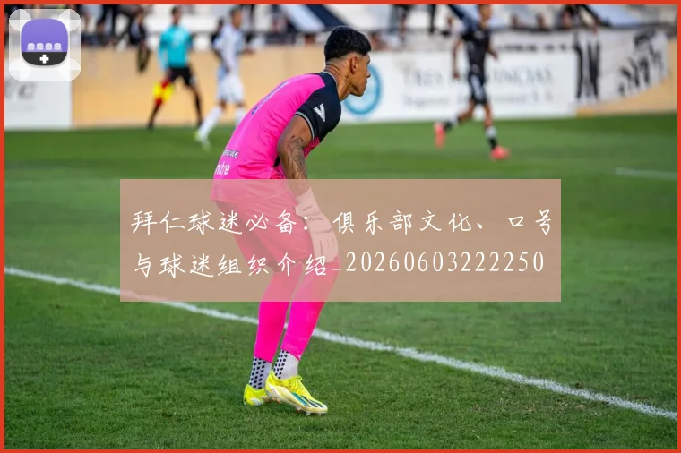 拜仁球迷必备:俱乐部文化、口号与球迷组织介绍_20260603222250