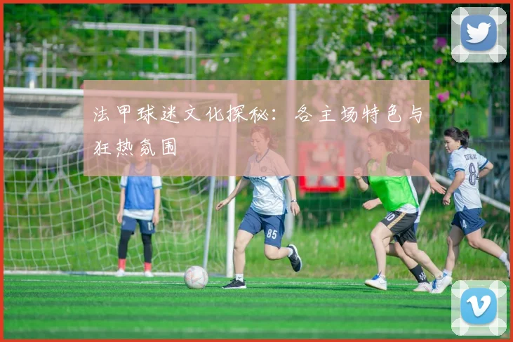 法甲球迷文化探秘：各主场特色与狂热氛围